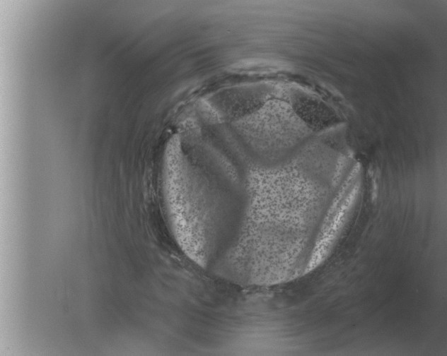 X0000080180965200612302241