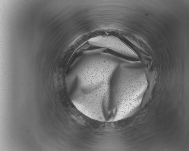 X0000080180968200612302241