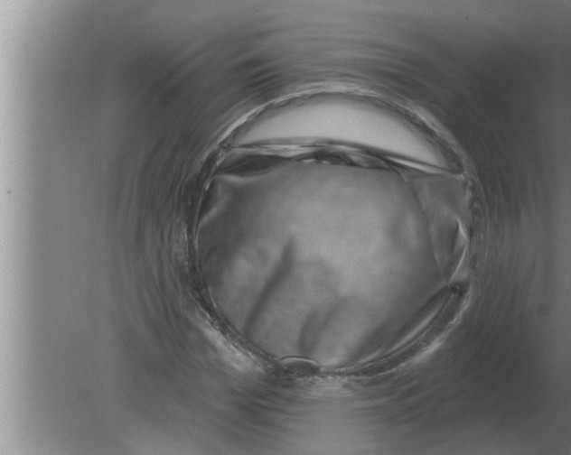 X0000080180969200612302241