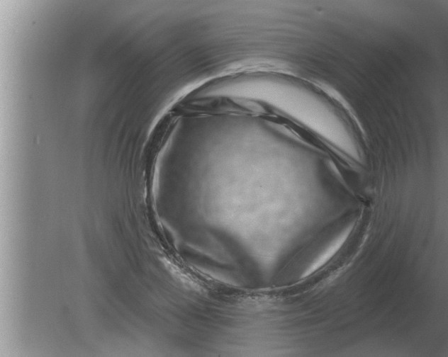 X0000080180973200612302241