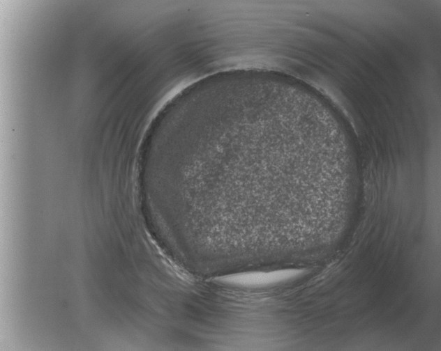 X0000080180975200612302241