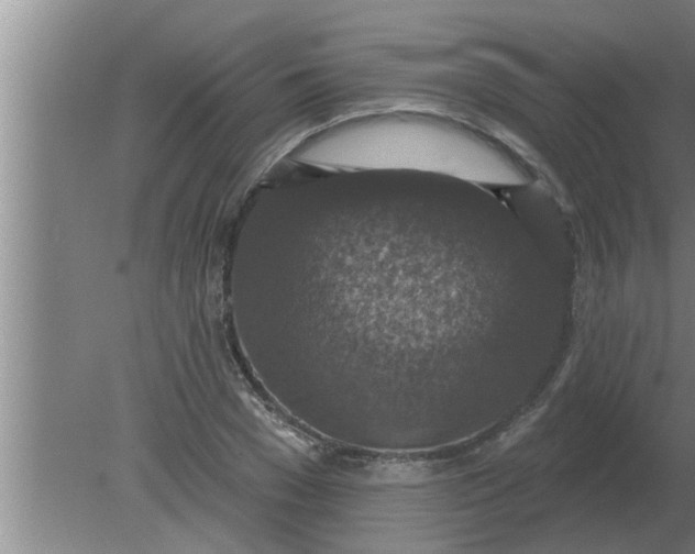 X0000080180977200612302241