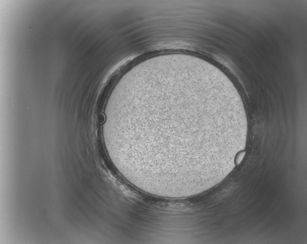 X0000080180979200612302241