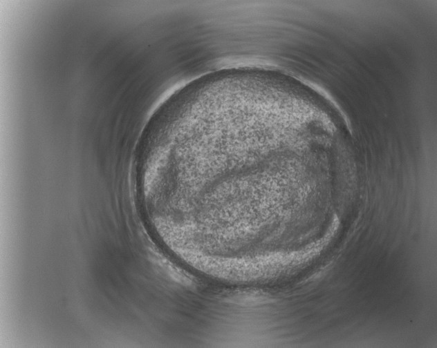 X0000080180983200612302241