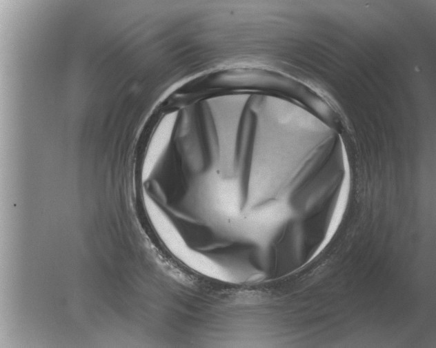 X0000080180984200612302240