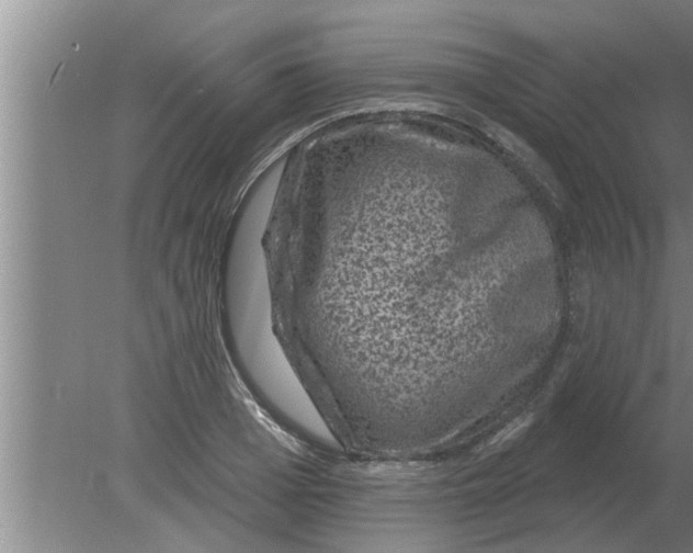 X0000080180985200612302240