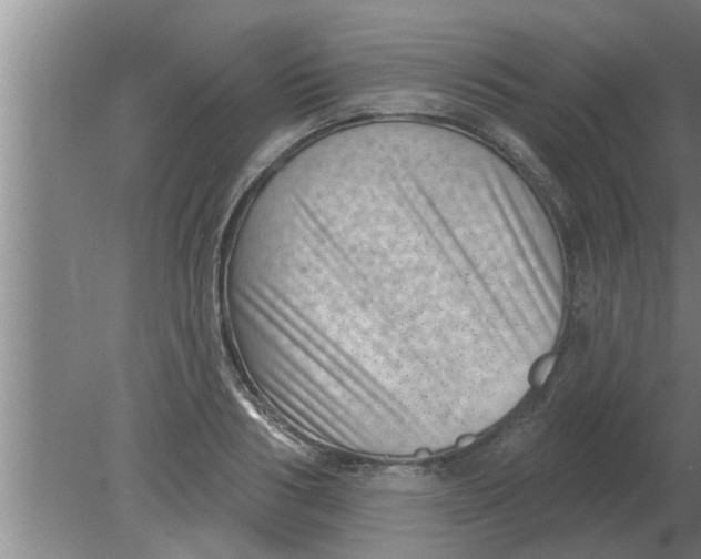 X0000080180986200612302240