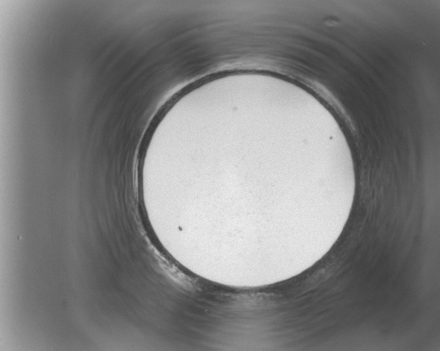 X0000080180988200612302240