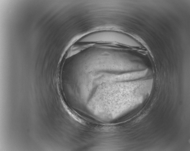 X0000080180989200612302240