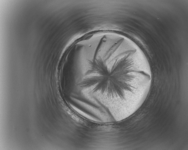 X0000080180990200612302240