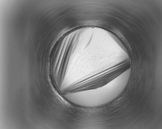 X0000080180992200612302240