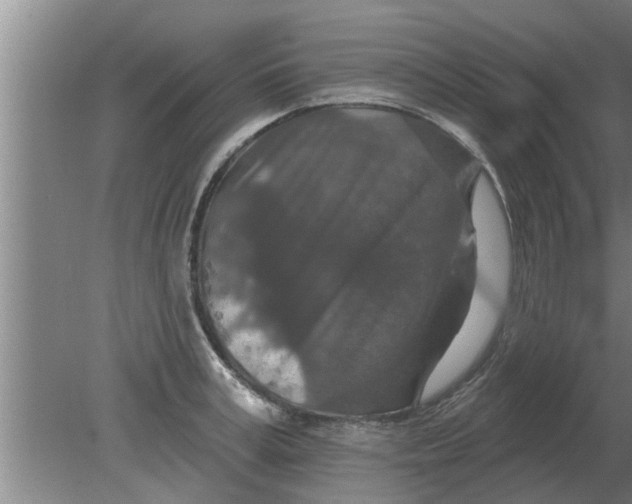 X0000080180995200612302240