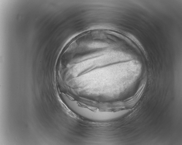 X0000080180996200612302240