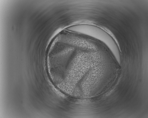 X0000080180997200612302240