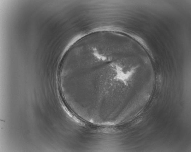 X0000080180998200612302240