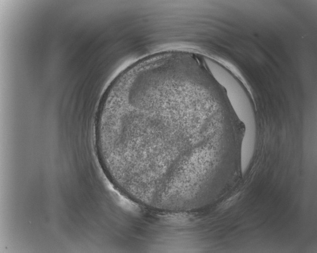 X0000080180999200612302240