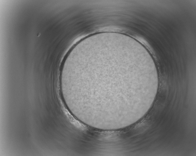 X0000080181000200612302240