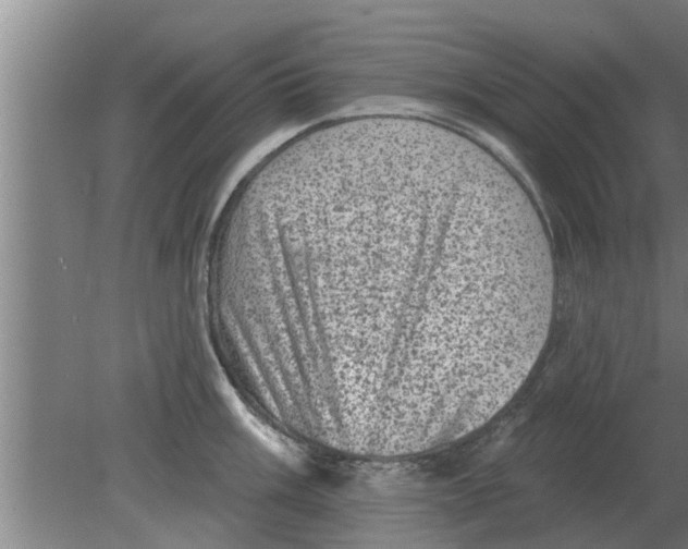 X0000080181003200612302240