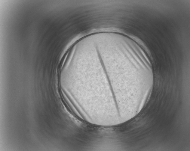 X0000080181006200612302240