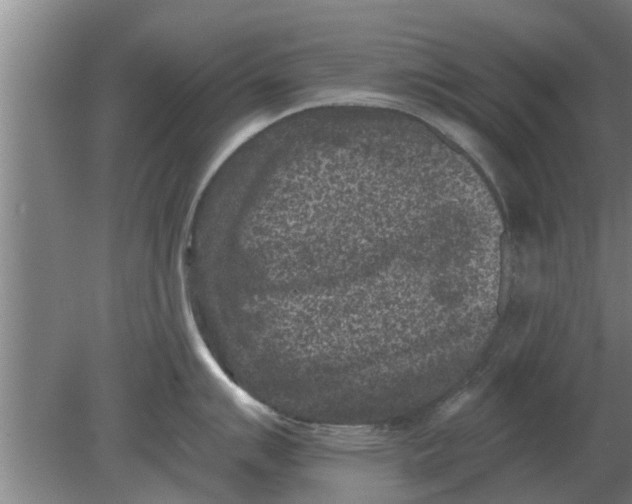 X0000080181007200612302240