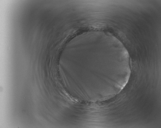 X0000080181009200612302239