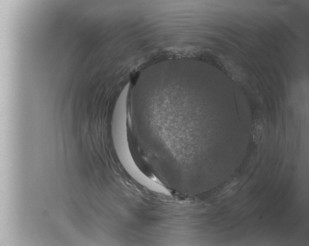 X0000080181010200612302239