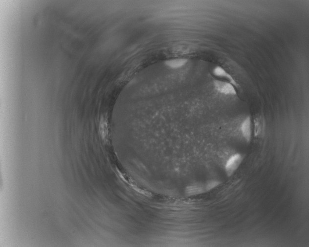 X0000080181011200612302239