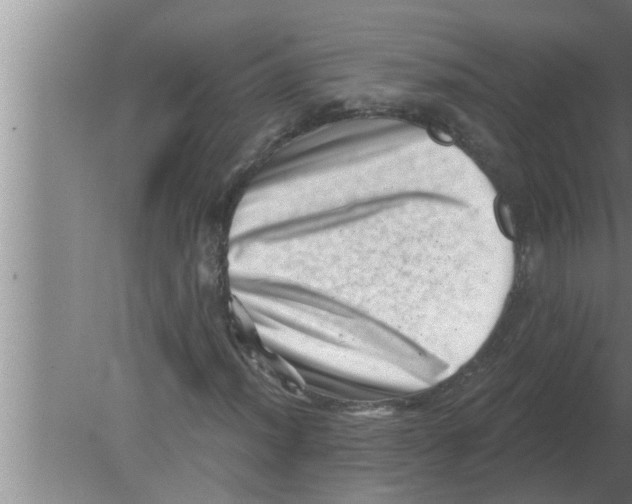 X0000080181012200612302239