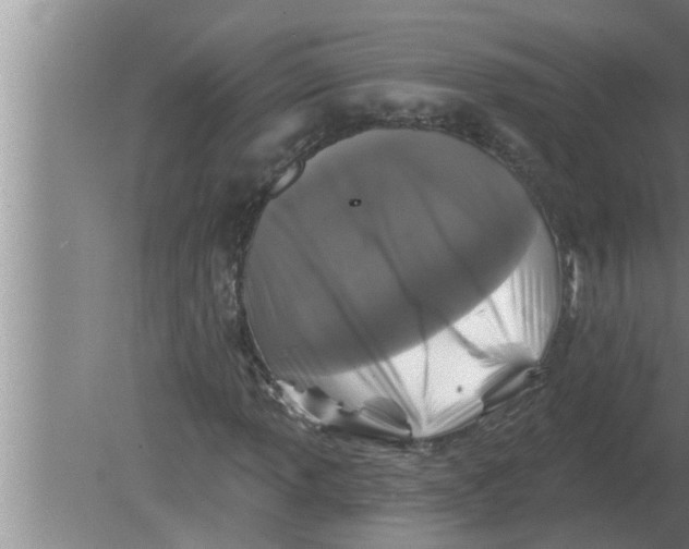 X0000080181013200612302239