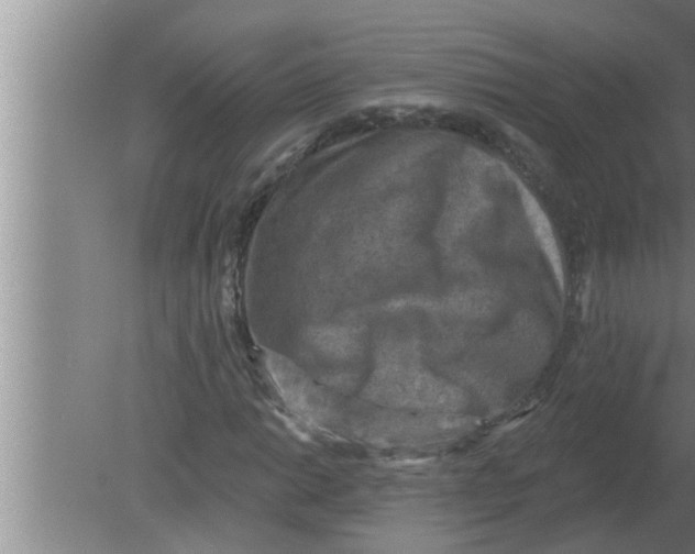 X0000080181014200612302239