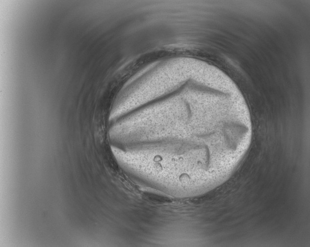 X0000080181015200612302239