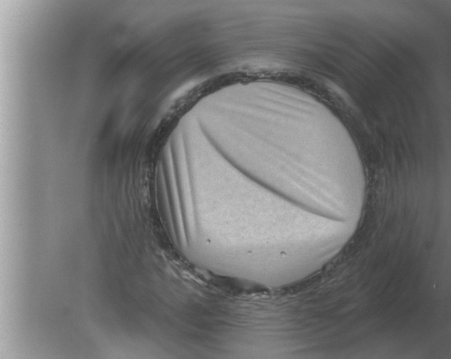 X0000080181016200612302239