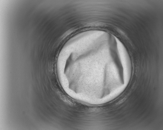 X0000080181017200612302239