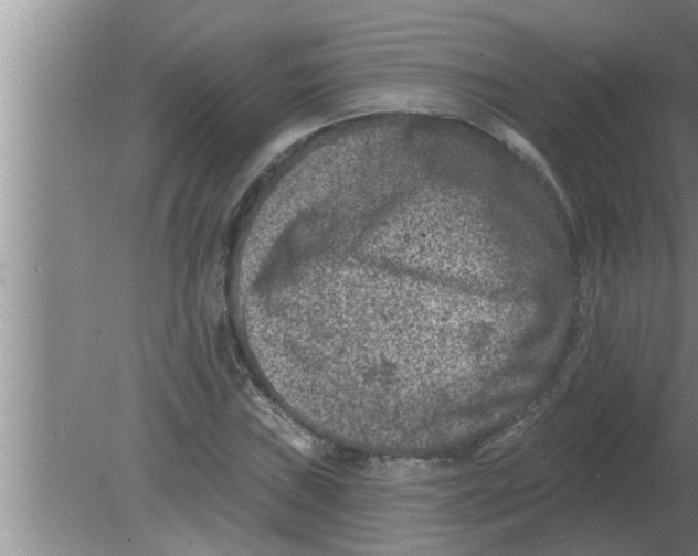 X0000080181019200612302239