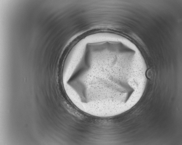 X0000080181020200612302239