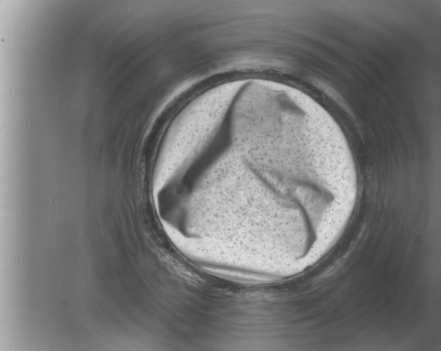 X0000080181021200612302239