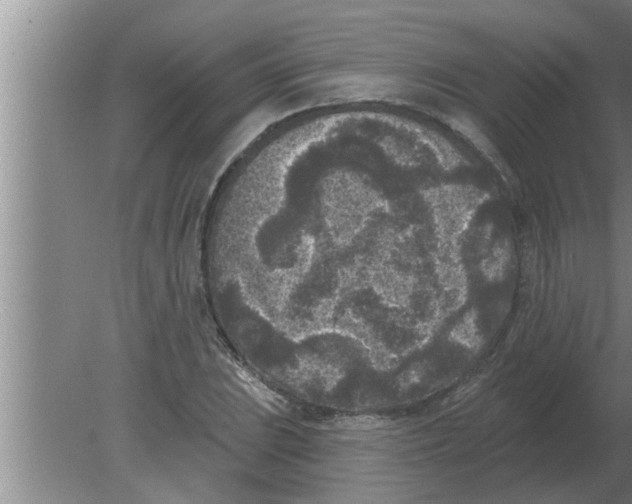 X0000080181023200612302240