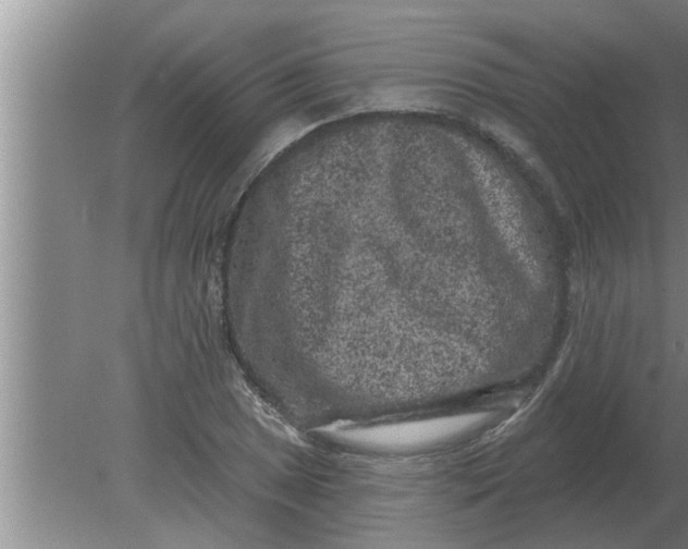 X0000080181025200612302240