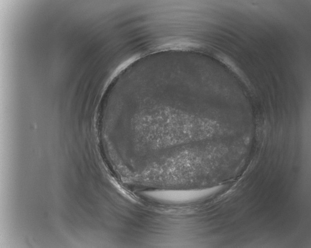 X0000080181026200612302240