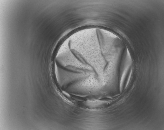 X0000080181029200612302240