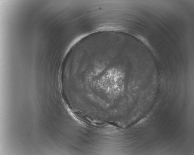 X0000080181030200612302240