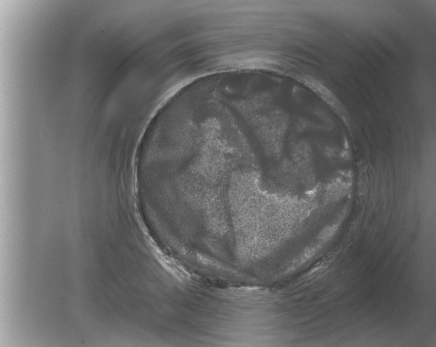 X0000080181031200612302240