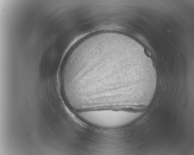 X0000080181032200612302240