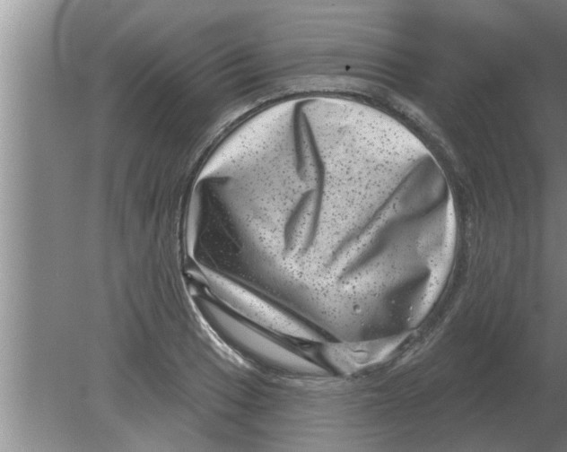 X0000080181033200612302240