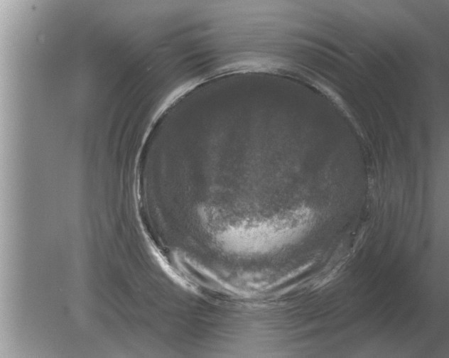 X0000080181034200612302240