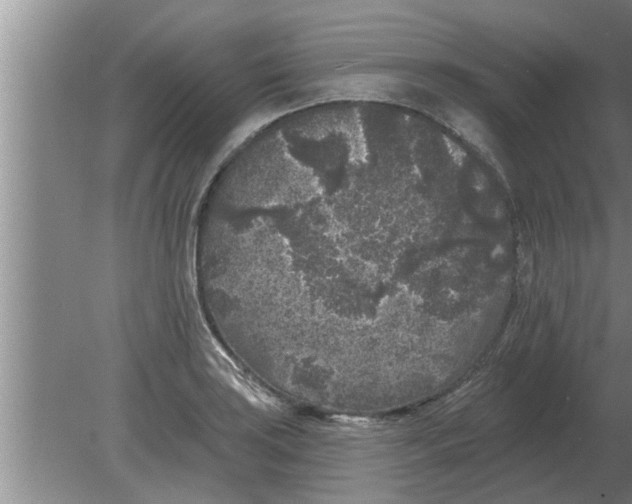 X0000080181035200612302240