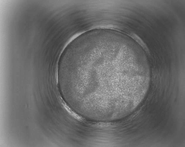 X0000080181036200612302240