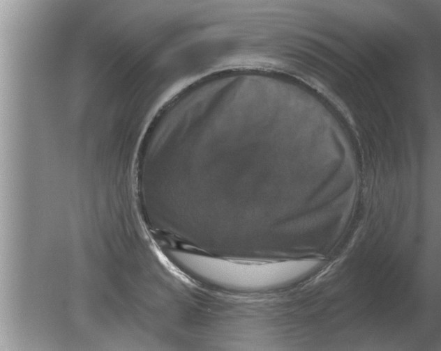 X0000080181037200612302240