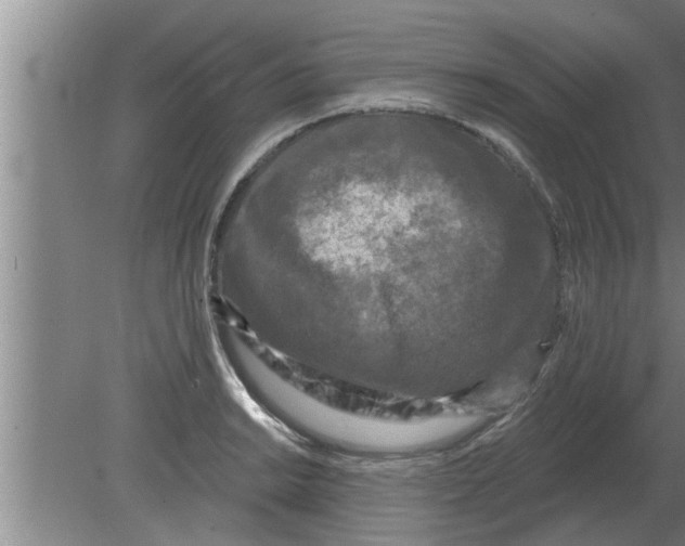 X0000080181038200612302240