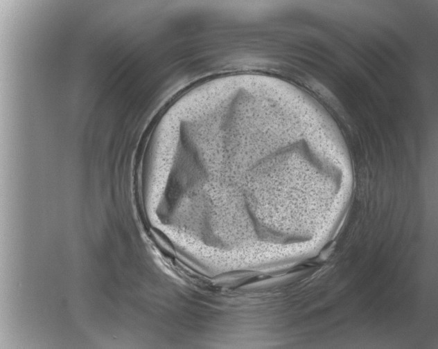 X0000080181039200612302240